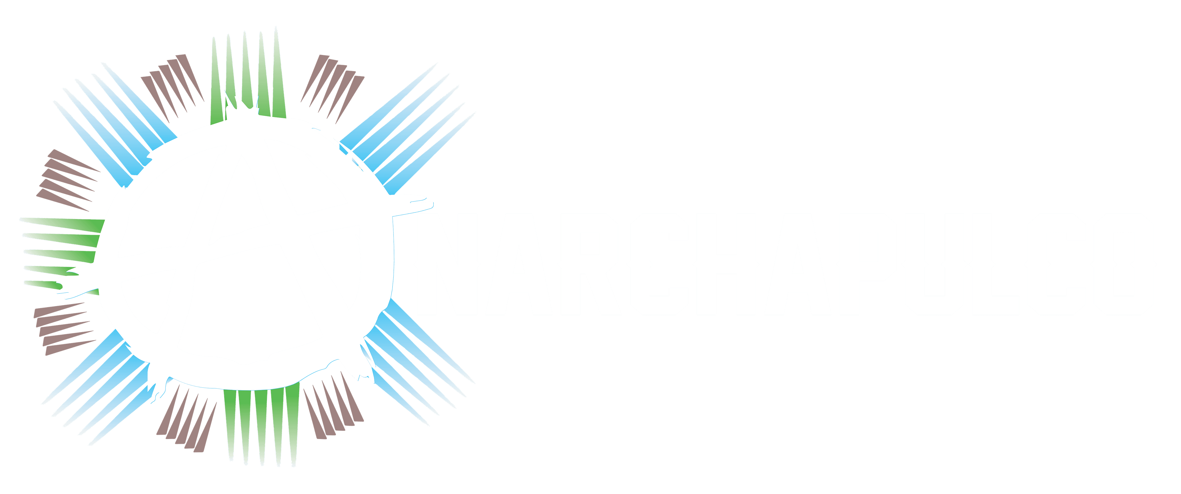 Anarchapulco