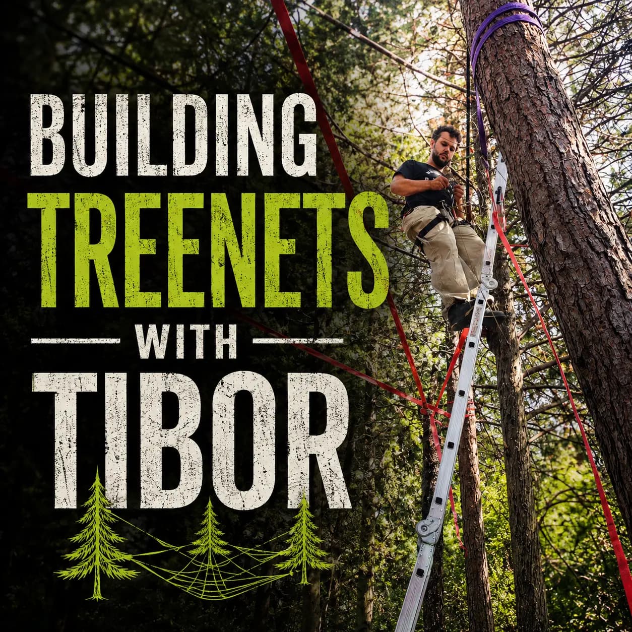 Building Treenets with Tibor